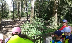 20160610_105003