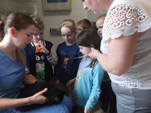 DSCF7764
